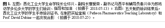 图1. 左图:伟德国际1946官网长仓怀兴、副院长骞爱荣、副书记马西平和辅导员秦兴华为即将访学多伦多大学的学生们培训、指导和加油 (拍摄于2018-07-13);右图:五天制药培训结束后,bevictor1946的学生手持培训证书, 在制药实验室前(Patheon Pharmaceutics Teaching Laboratory)和Prof. David Dubins一起庆祝合影 (拍摄于2018-07-25)。